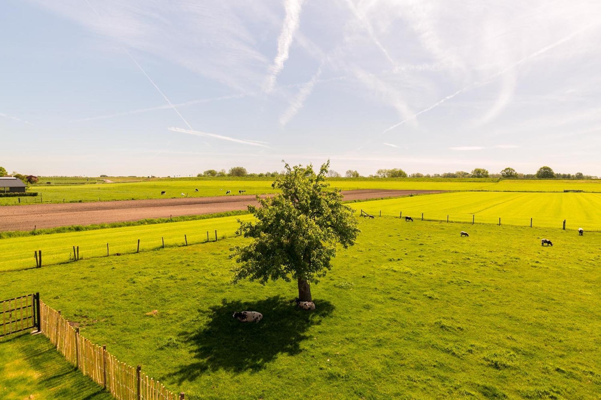 Boerderij De Zalm Bed & Breakfast Schalkwijk Eksteriør bilde