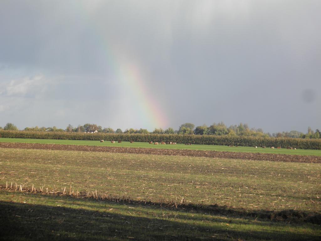 Boerderij De Zalm Bed & Breakfast Schalkwijk Eksteriør bilde